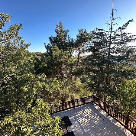 Forest Park Villa Λεμίθου Εξωτερικό φωτογραφία