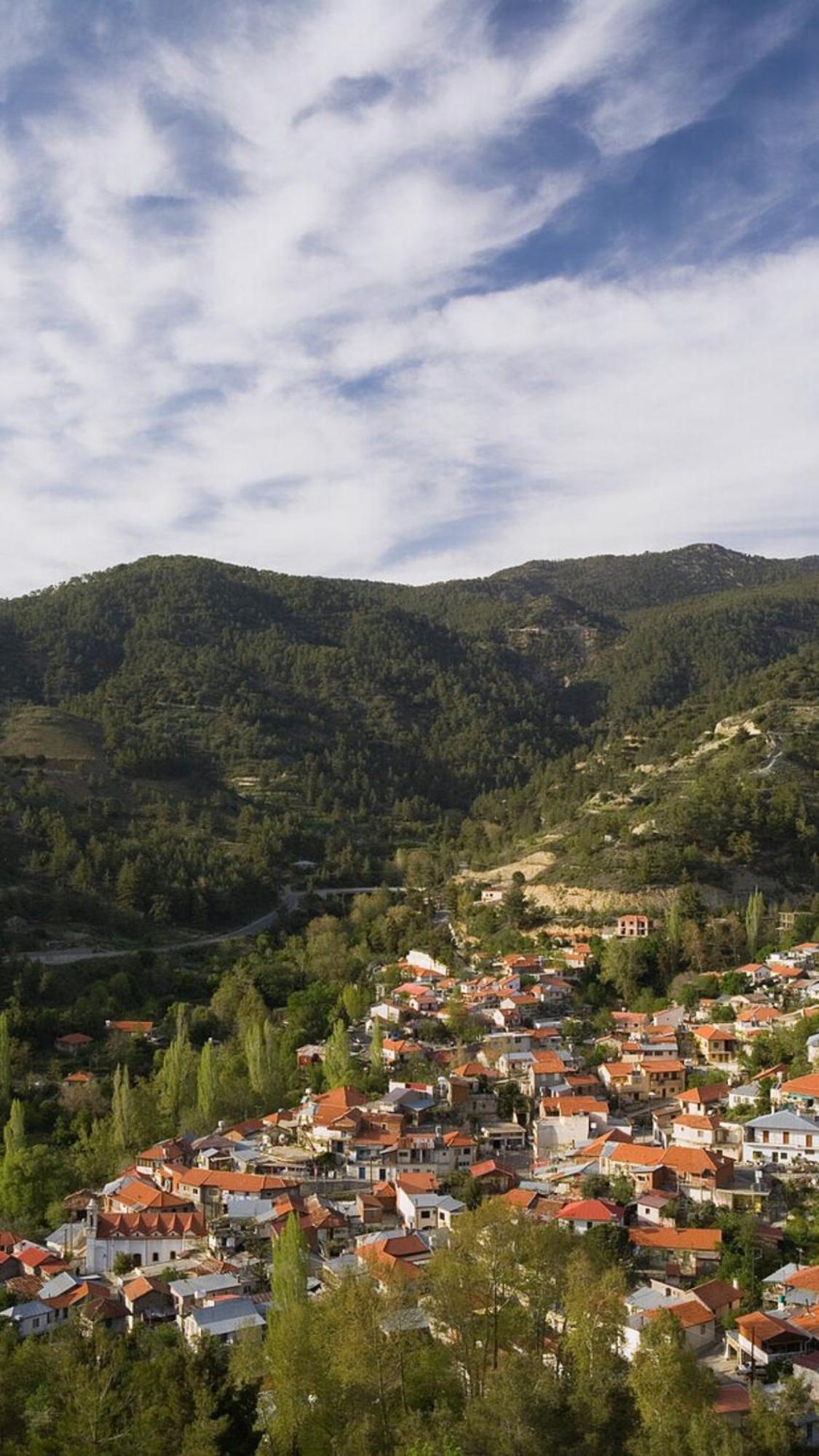 Forest Park Villa Λεμίθου Εξωτερικό φωτογραφία