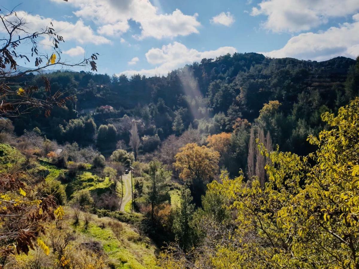 Forest Park Villa Λεμίθου Εξωτερικό φωτογραφία