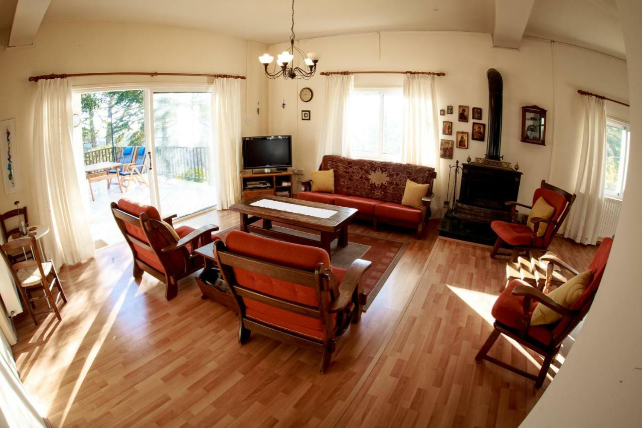 Forest Park Villa Λεμίθου Εξωτερικό φωτογραφία